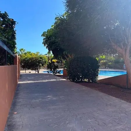 Cozy With Large Terrace Next To The Pool 公寓 *